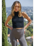 Knit Ribbed Seamless Mock Neck Sleeveless Crop Top in Black