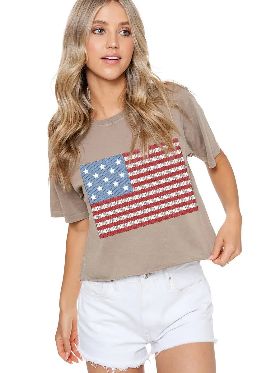 PUFF PRINTED AMERICAN FLAH GRAPHIC TEE