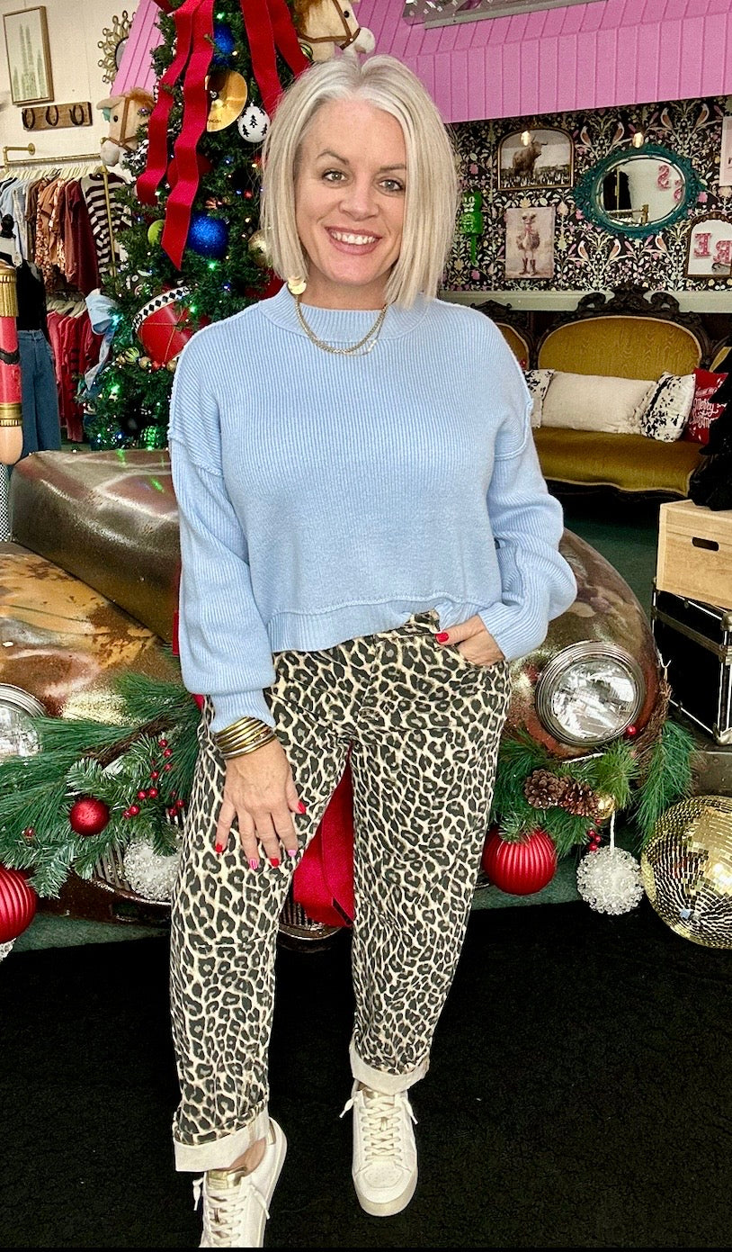 Vervet High Rise Leopard Print Barrel Jeans