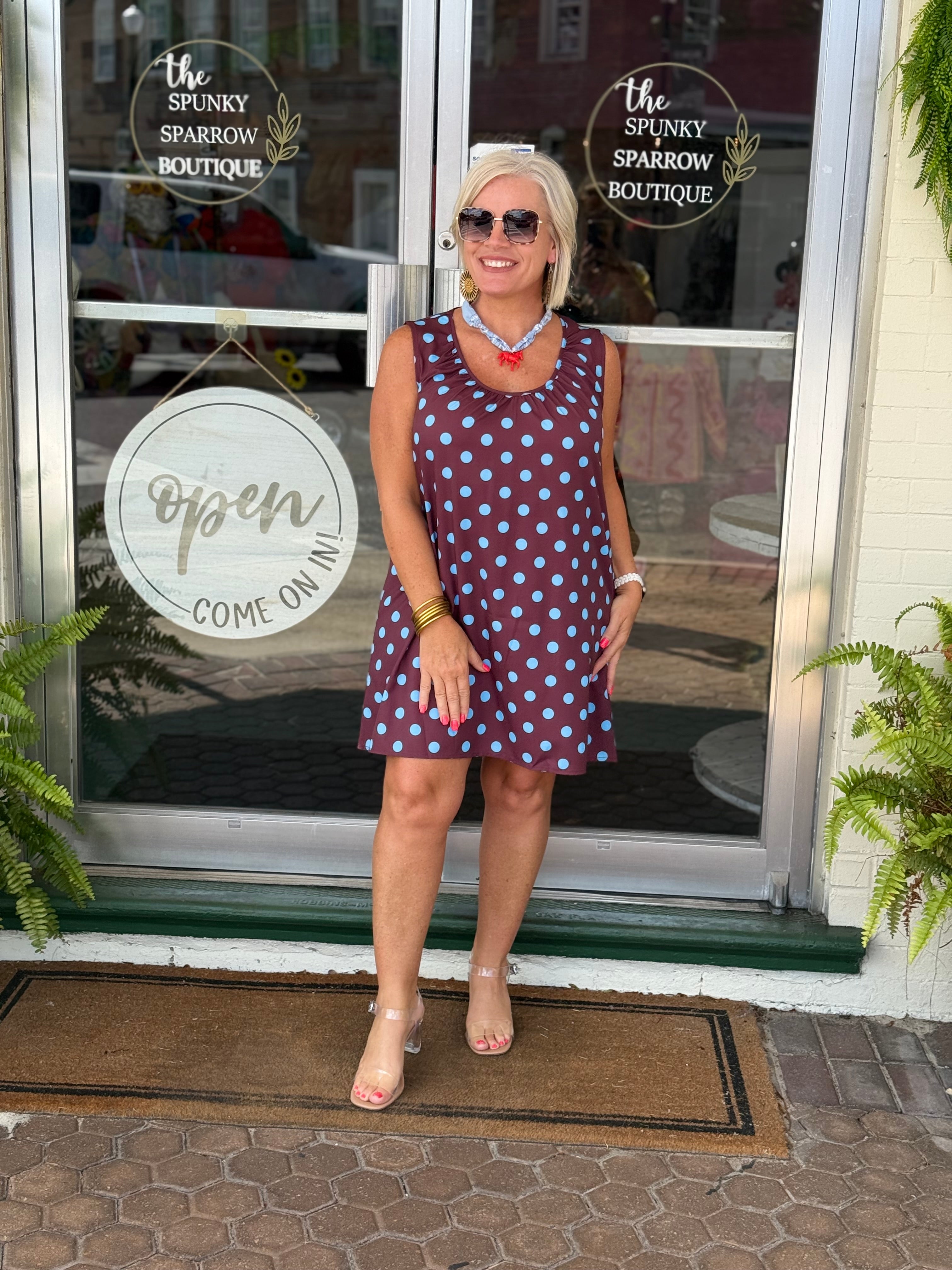Brown Polka Dot Sleeveless A-Line Dress