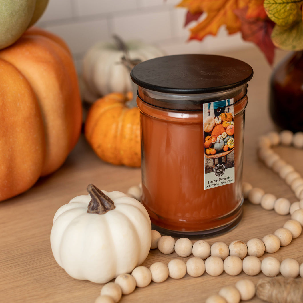 Clearance Harvest Pumpkin 8oz Jar Candle
